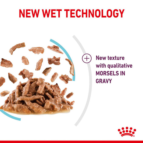 Royal Canin Sensory Feel Gravy