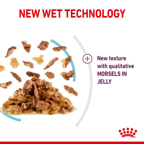 Royal Canin Sensory Feel Jelly