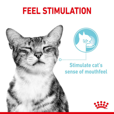 Royal Canin Sensory Multipack Gravy