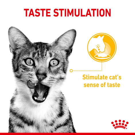 Royal Canin Sensory Multipack Gravy