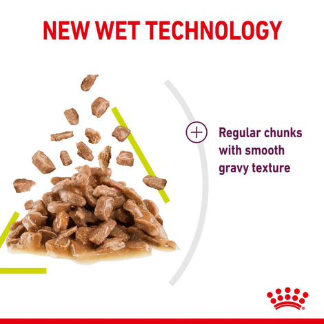 Royal Canin Sensory Smell Gravy