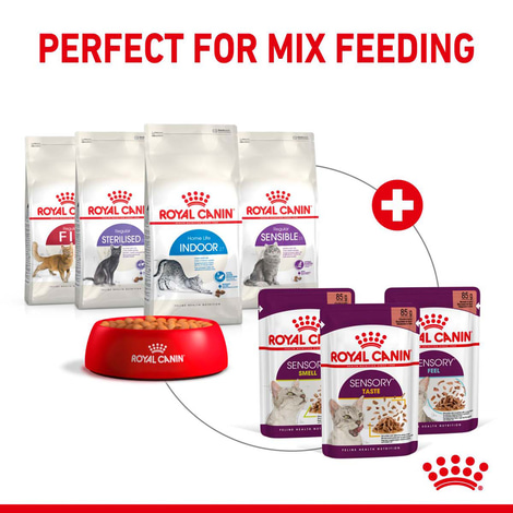 Royal Canin Sensory Smell Gravy