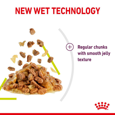 Royal Canin Sensory Smell Jelly