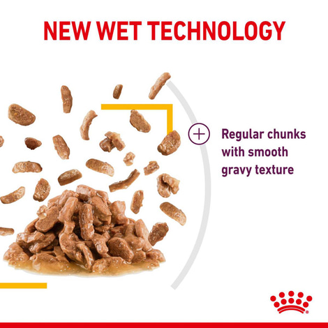 Royal Canin Sensory Taste Gravy