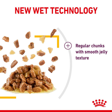 Royal Canin Sensory Taste Jelly