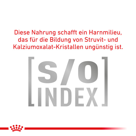 ROYAL CANIN® Veterinary DIABETIC SPECIAL LOW CARBOHYDRATE Mousse Nassfutter für Hunde