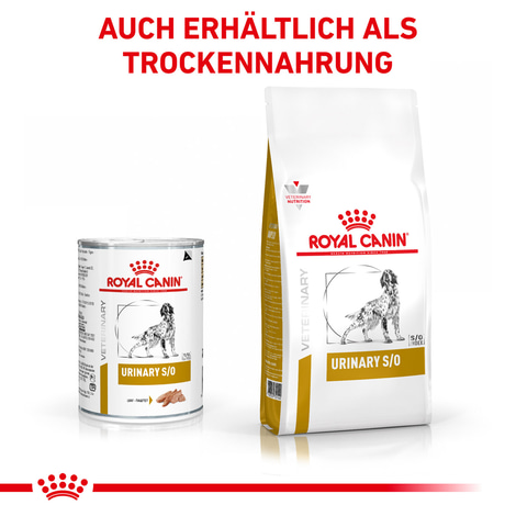 ROYAL CANIN® Veterinary URINARY S/O Mousse Nassfutter für Hunde