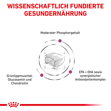 ROYAL CANIN® Veterinary EARLY RENAL Trockenfutter für Katzen