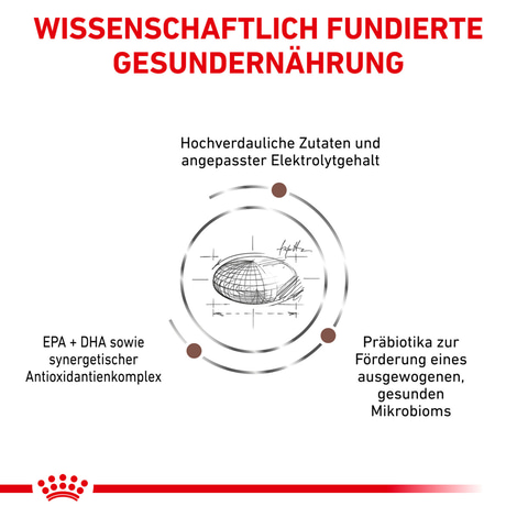 ROYAL CANIN® Veterinary GASTROINTESTINAL HIGH FIBRE Trockenfutter für Hunde