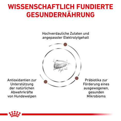 ROYAL CANIN® Veterinary GASTROINTESTINAL PUPPY Trockenfutter für Hundewelpen