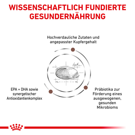 ROYAL CANIN® Veterinary HEPATIC Trockenfutter für Katzen