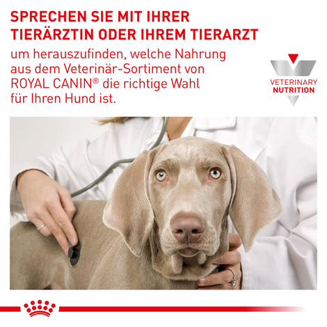 ROYAL CANIN® Veterinary HYPOALLERGENIC Mousse Nassfutter für Hunde