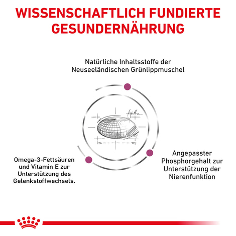 ROYAL CANIN® Veterinary MOBILITY Trockenfutter für Katzen