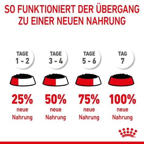 ROYAL CANIN® Veterinary RENAL SPECIAL Nassfutter für Hunde