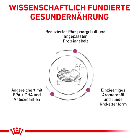 ROYAL CANIN® Veterinary RENAL SPECIAL Trockenfutter für Hunde