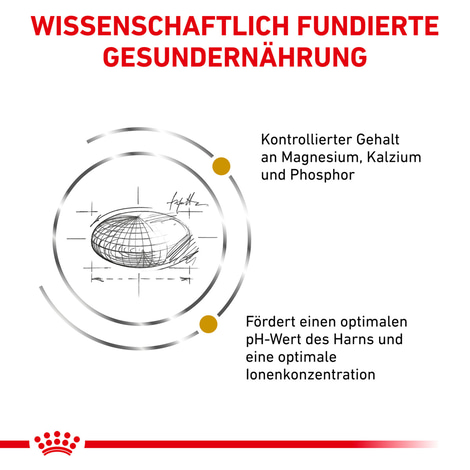 ROYAL CANIN® Veterinary URINARY S/O Trockenfutter für Katzen