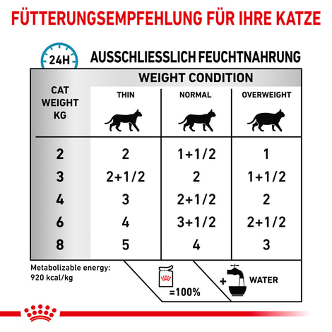 ROYAL CANIN® Veterinary SKIN & COAT Nassfutter für Katzen