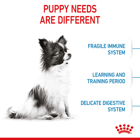 ROYAL CANIN X-SMALL Puppy