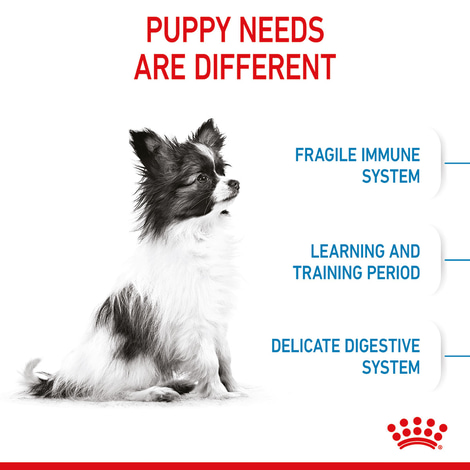 ROYAL CANIN X-SMALL Puppy Trockenfutter für Welpen sehr kleiner Hunderassen