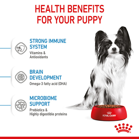 ROYAL CANIN X-SMALL Puppy Trockenfutter für Welpen sehr kleiner Hunderassen