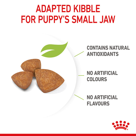 ROYAL CANIN X-SMALL Puppy Trockenfutter für Welpen sehr kleiner Hunderassen