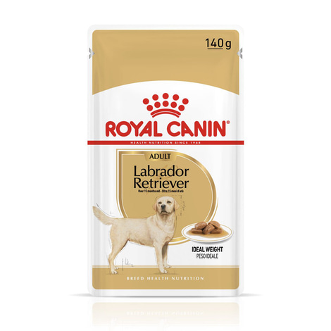 ROYAL CANIN Labrador Retriever Adult Stückchen in Soße Nassfutter für Hunde