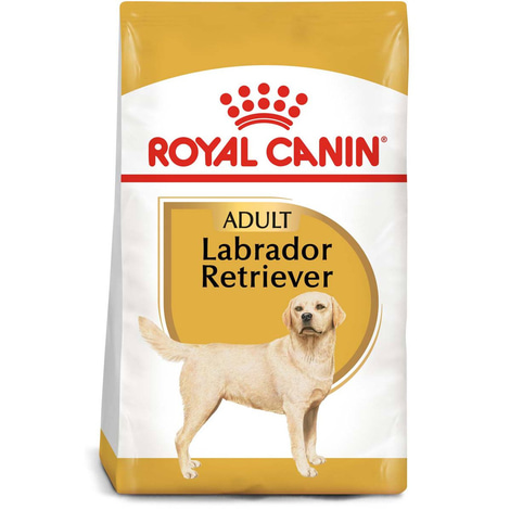 ROYAL CANIN Labrador Retriever Adult Hundefutter trocken