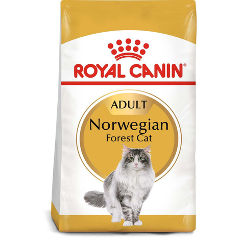 ROYAL CANIN Norwegian Forest Cat Adult Trockenfutter für Norwegische Waldkatzen