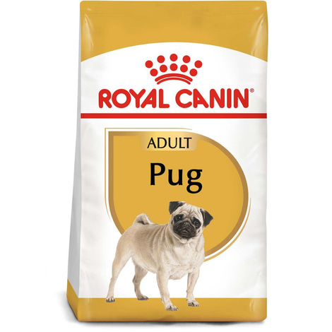 ROYAL CANIN Pug Adult Hundefutter trocken für Mops