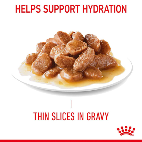 Royal Canin FCN Appetite Control Gravy