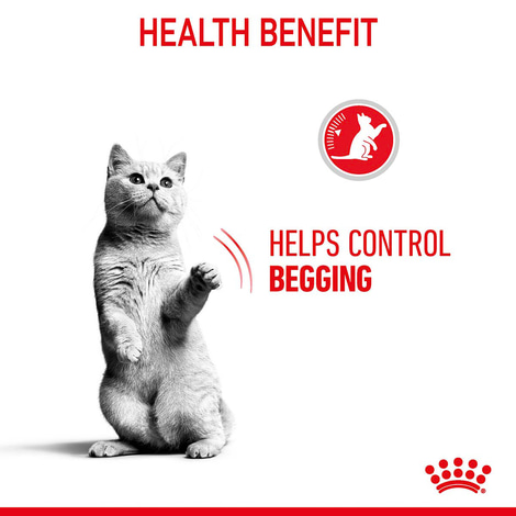 Royal Canin FCN Appetite Control Gravy
