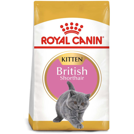 ROYAL CANIN British Shorthair Kittenfutter trocken für Kätzchen