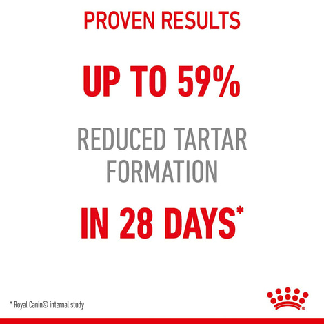 Royal Canin FCN Dental Care