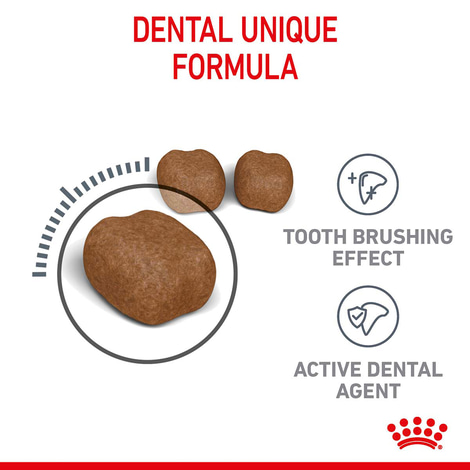 Royal Canin FCN Dental Care