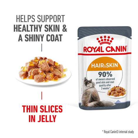 Royal Canin FCN Hair & Skin Jelly
