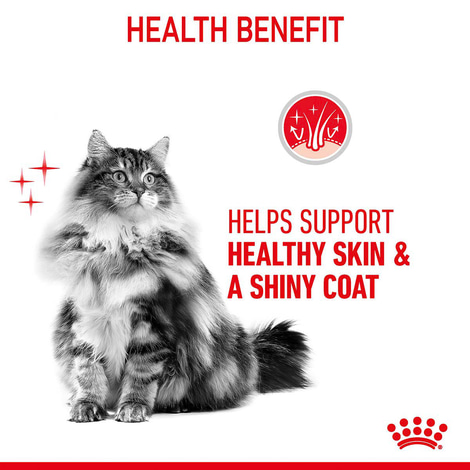 Royal Canin FCN Hair & Skin Jelly