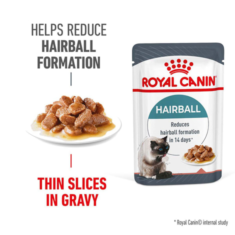 Royal Canin FCN Hairball Care Gravy