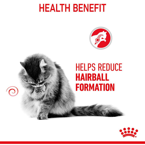 Royal Canin FCN Hairball Care Gravy