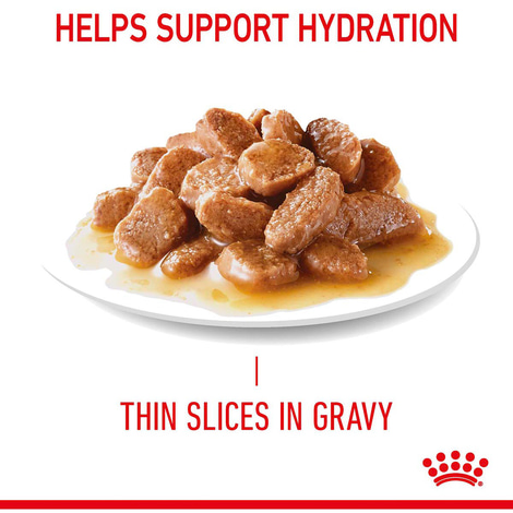 Royal Canin FCN Hairball Care Gravy