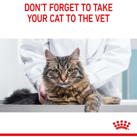 Royal Canin FCN Hairball Care
