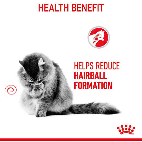 Royal Canin FCN Hairball Care