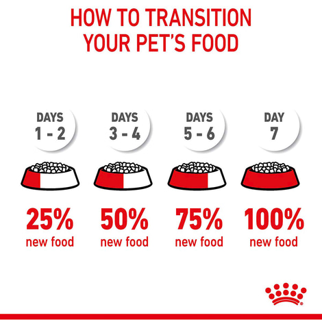 Royal Canin FCN Hairball Care