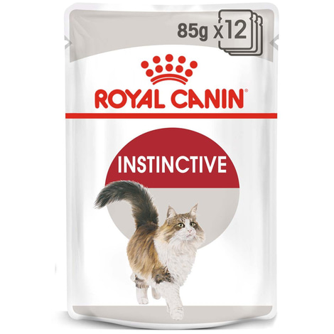 ROYAL CANIN INSTINCTIVE Katzenfutter nass in Soße