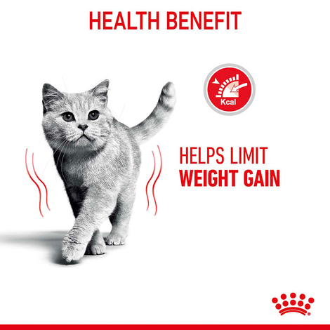Royal Canin FCN Light Weight Care Gravy
