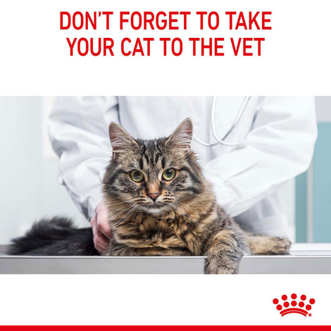 Royal Canin FCN Light Weight Care Jelly