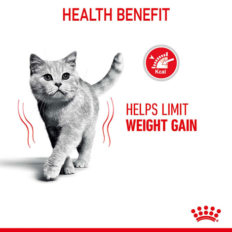 Royal Canin FCN Light Weight Care Jelly