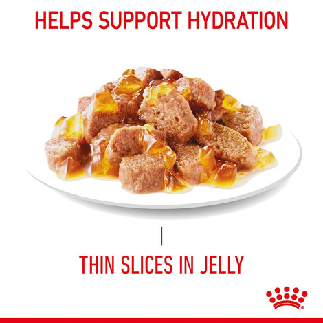 Royal Canin FCN Light Weight Care Jelly