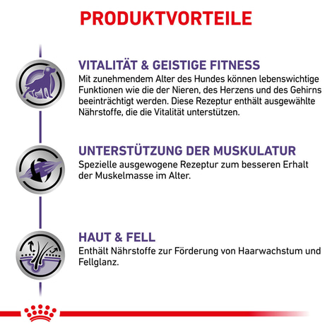 ROYAL CANIN® Expert MATURE CONSULT Nassfutter für Hunde