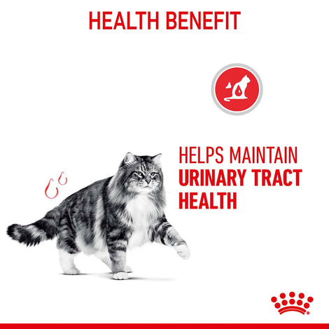 Royal Canin FCN Urinary Care