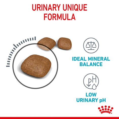Royal Canin FCN Urinary Care